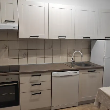 Apartment Grzic *