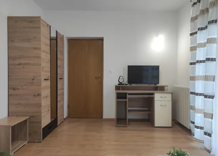 Διαμέρισμα Grzic *